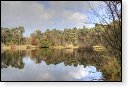 Oisterwijkse Bossen en Vennen Kampina natuurgebied natuur oisterwijk Nationaal park Landschap Het Groene Woud hei heide bossen natuurmonumenten brabant baronie boswachterij dorst